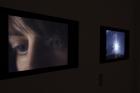 \'Waste Land\' installation, Ruskin Gallery, Anglia Ruskin University, Cambridge, October 2012
